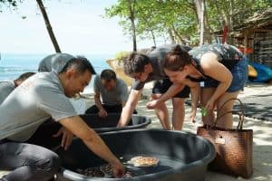 For the turtle release activity at the secret beach held to celebrate the hotel’s yearly anniversary
