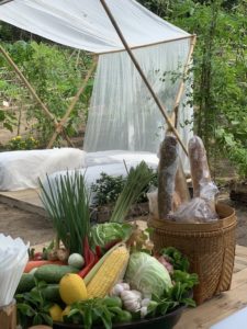 SILAVADEE FARM