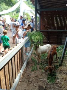 SILAVADEE FARM